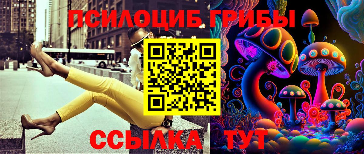 как найти наркотики  Галлюциногенные грибы мухоморы  Вход с VPN  Людиново 